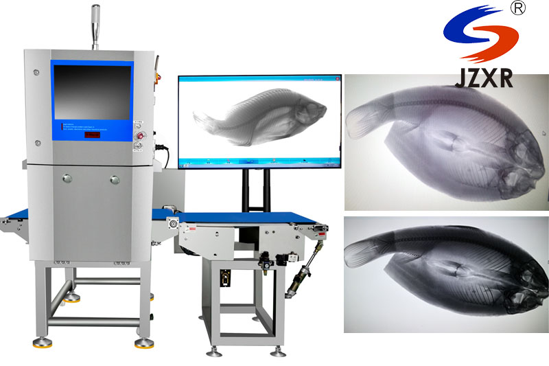 x-ray detector for fish bones detection