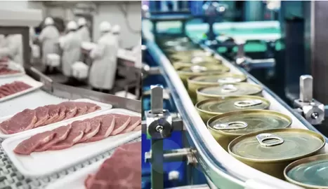 Metal Separators in Food Manufacturing