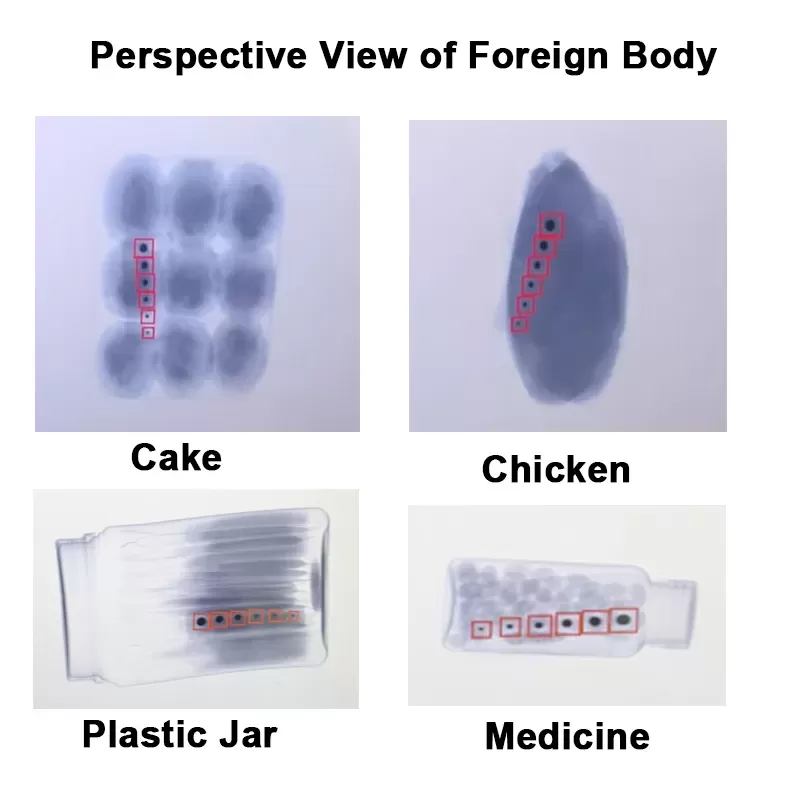 Food X-ray Inspection Machine